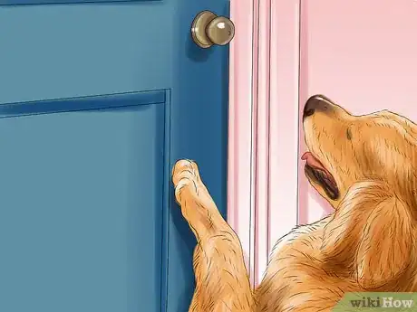 Image titled Housebreak a Dog Using a Crate Step 14