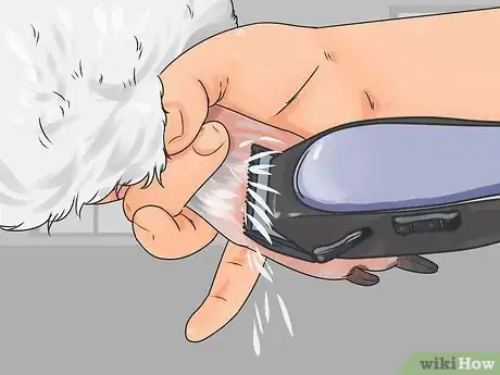 Image titled Groom a Longhair Dog Step 15