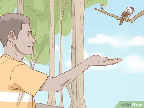 Image titled Hand Feed a Chickadee Step 11