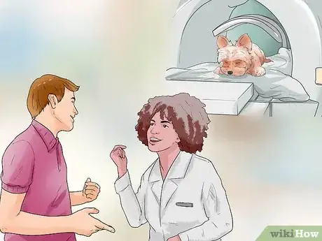 Image titled Treat Portosystemic Shunts in Yorkshire Terriers Step 7