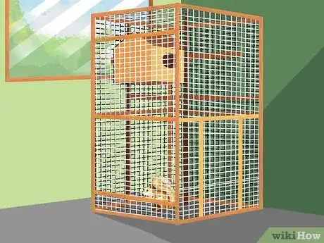 Image titled Keep a Pet Squirrel Step 12