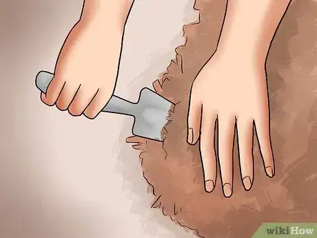 Image titled Care for Azaleas Step 6