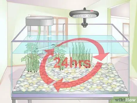 Image titled Take Care of Freshwater Fish Step 10