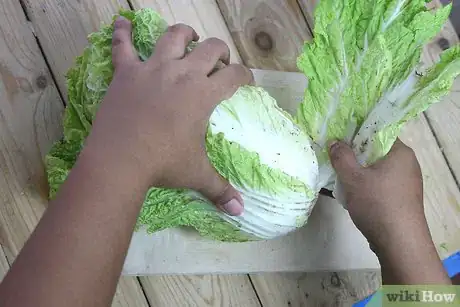 Image titled Cut a Cabbage Into Wedges Step 13