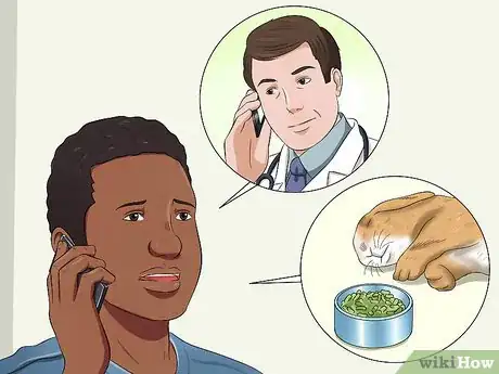Image titled Diagnose Digestive Problems in Rabbits Step 4