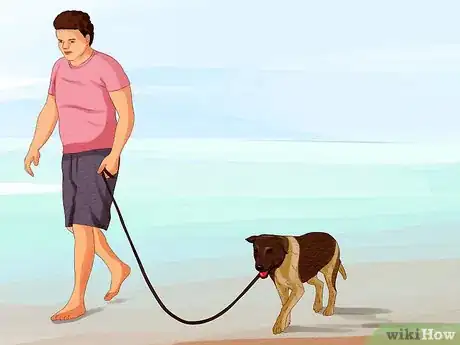 Image titled Take Your Dog to the Beach Step 6