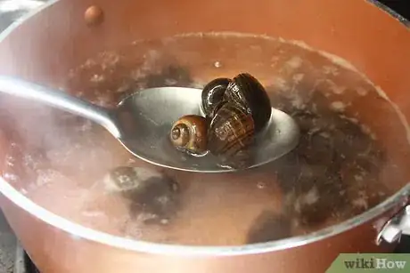 Image titled Prepare Escargot Step 4
