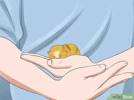 Image titled Care for an Abandoned Kitten Step 6