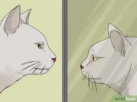 Image titled Prevent Fights Between Cats Step 13