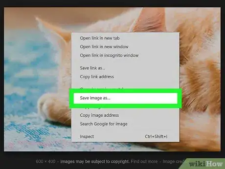 Image titled Search by Image Step 22