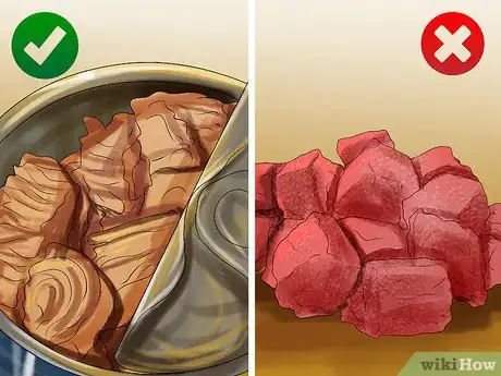 Image titled Diagnose and Treat Feline Toxoplasmosis Step 10