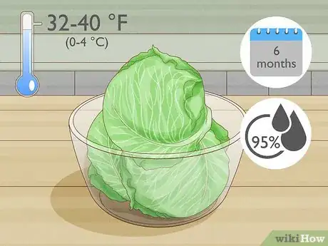 Image titled Harvest Cabbage Step 10