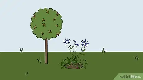 Image titled Plant Columbine Step 11