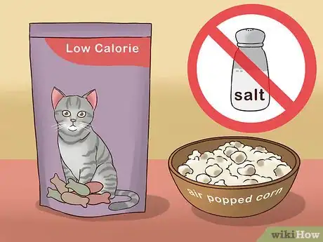 Image titled Treat Obesity in Cats Step 6