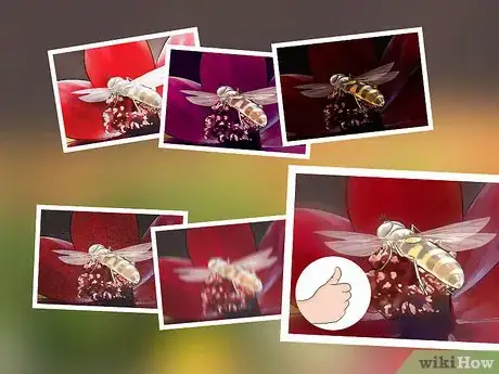 Image titled Photograph Insects Step 17