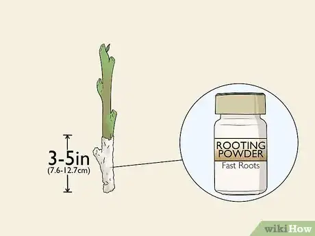 Image titled Take Hardwood Cuttings Step 7