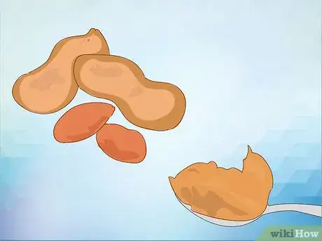 Image titled Feed Cockatiels Step 15