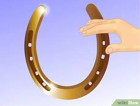 Image titled Display a Horseshoe Step 1