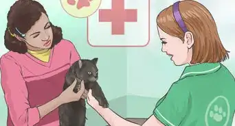 Prevent Marijuana Poisoning in Dogs and Cats