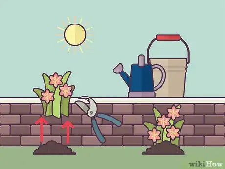 Image titled Plant Daylilies Step 17