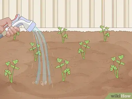 Image titled Grow a Garden Step 9