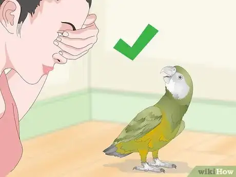 Image titled Keep a Senegal Parrot Entertained Step 9