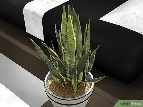 Image titled Choose Low‐Maintenance Houseplants Step 7