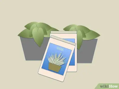 Image titled Make One Plant Hydroponics Step 9