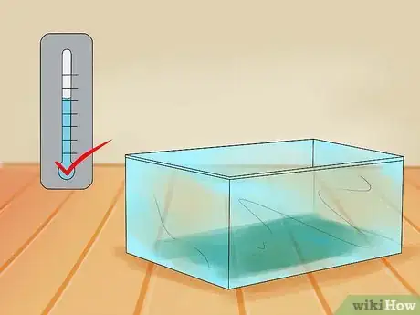 Image titled Care for Hermit Crabs Step 3