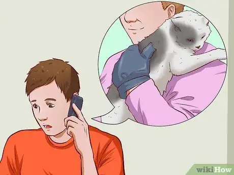 Image titled Get a Cat for a Pet Step 6