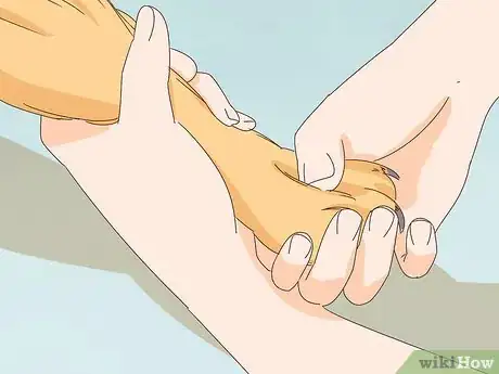 Image titled Pet a Dog Step 16