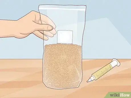 Image titled Create a Mycofiltration System Step 1