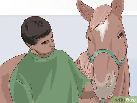 Image titled Walk a Colicking Horse Step 15