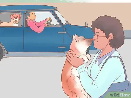 Image titled Keep Your Dog Entertained Step 19