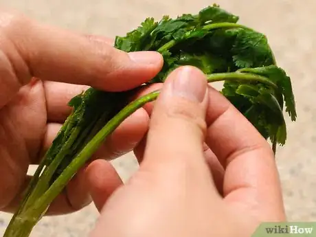 Image titled Freeze Cilantro Step 28