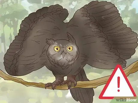 Image titled Photograph Owls Step 15
