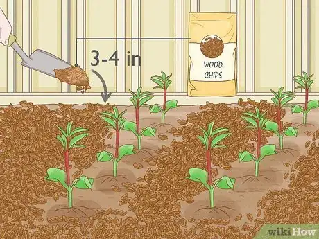 Image titled What Mulch Is Good for a Vegetable Garden Step 8