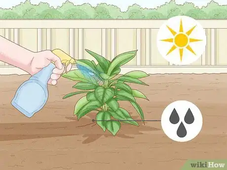 Image titled Grow Mandevillas Step 8