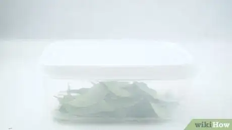 Image titled Preserve Curry Leaves Step 10