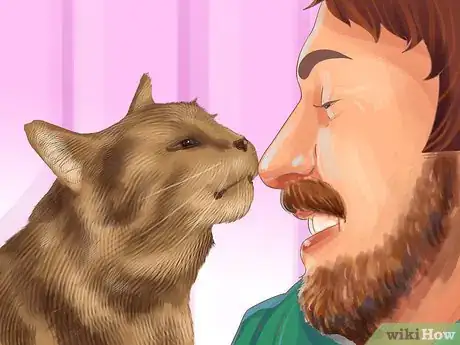 Image titled Diagnose and Treat Periodontitis in Cats Step 1