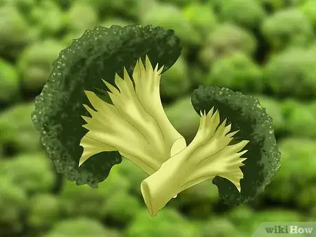 Image titled Choose Edible Flowers Step 3