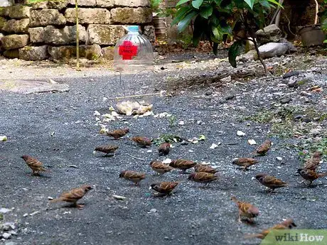 Image titled Build a Milk Jug Bird Feeder Step 11
