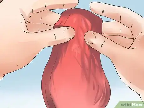 Image titled Make a Raw Food Diet for Dogs Step 2