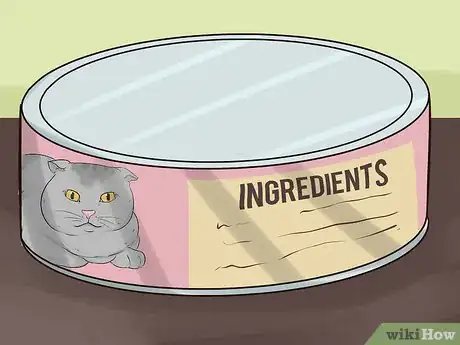 Image titled Take Care of a Japanese Bobtail Step 7