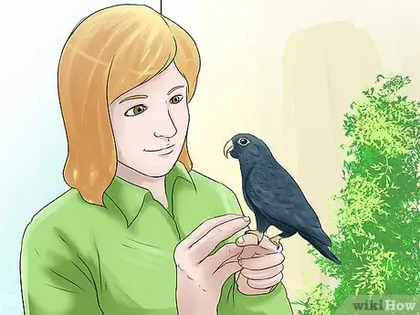 Image titled Know if a Pionus Parrot Is Right for You Step 13
