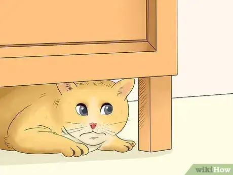 Image titled Keep Pets Safe During a Tornado Step 4