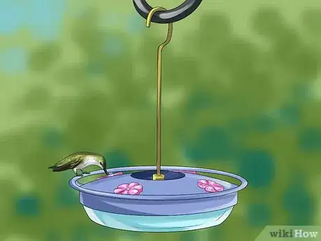 Image titled Use a Backyard Bird Feeder Step 9