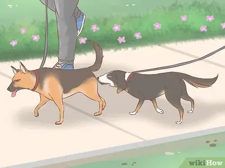 Image titled Acclimate Two Dogs Step 5