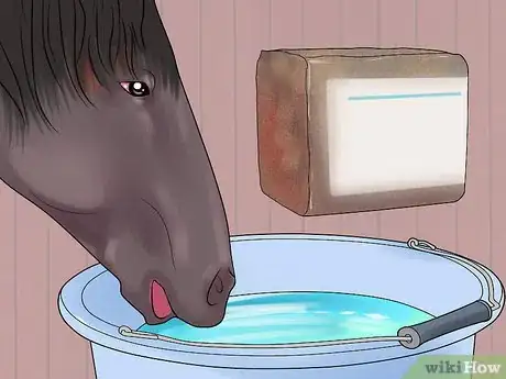 Image titled Feed a Starving Horse Step 3