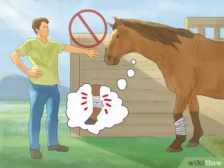 Image titled Hand Walk an Injured Horse Step 2